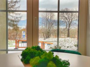 Apartamenty Paszkówka