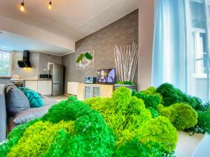 Apartamenty Paszkówka