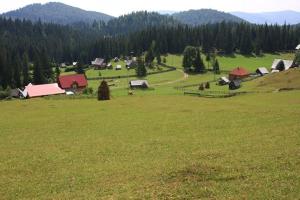 Pensiunea Scarisoara