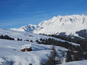 Ferienwohnung im Haus Primula