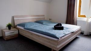 Vila Pavlínka apartmány Losiny