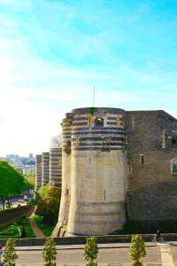 Hotels Logis Hotel Marguerite d'Anjou : Chambre Double Classique - Vue sur Château