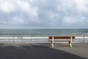 Appartements Vue sur mer et sur la plage de Pleneuf Val Andre : photos des chambres