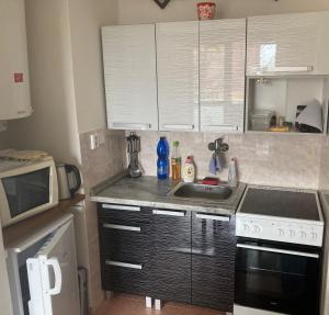 Apartmán ve Velkých Losinách