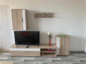 Apartmán ve Velkých Losinách