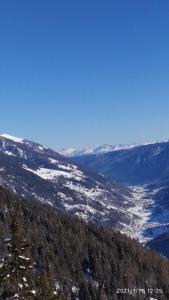 Appartamenti Presanella