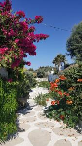 Naxos Cave Suites Naxos Greece