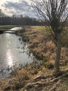 Landgoed het Heuvelbosch