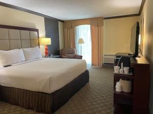 King Room - Non-Smoking room in Wingate Houston near NRG Park/Medical Center