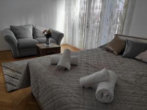 Apartman Centar Šare