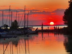 Resort Marina Suchacz