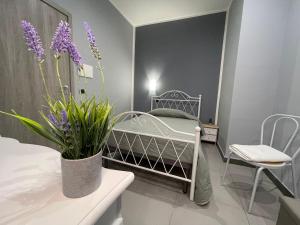 Bed&Breakfast La Primavera