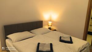 Štúdiá Správa TANAPu