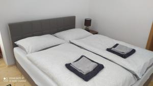 Štúdiá Správa TANAPu