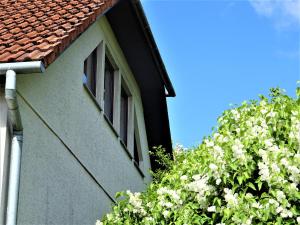 Neubrandenburg-Wasser,Natur,Zentrum,Ladestation für E-Autos