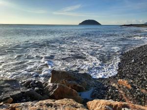 La Gallina Nel Castello