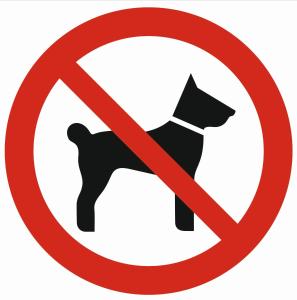 One-Bedroom Apartment room in Apartamenty Orkana Centrum Zakopane