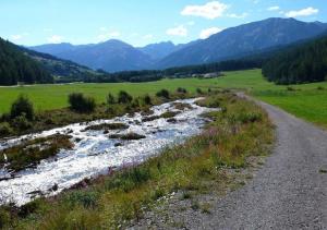 Fuldera Daint chasa Zanoli Wohnung Parterre