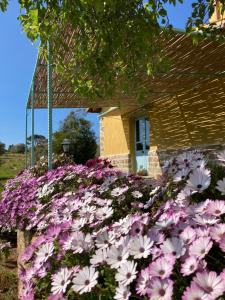 Agriturismo Is Conchisceddas img61