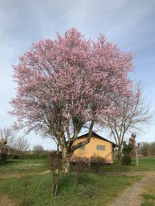 Campings LE MONDOU : photos des chambres