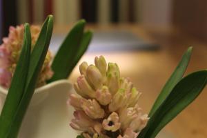 Genusshotel "Zum Wendl"