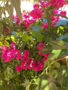 Blue Sky Taverna Apartments Kiki Rethymno Greece