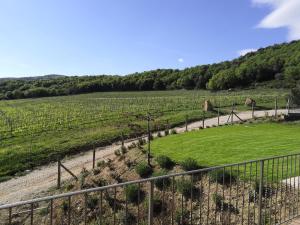 Di Colle in Colle - Agriturismo