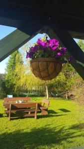 Zielony Domek z jacuzzi