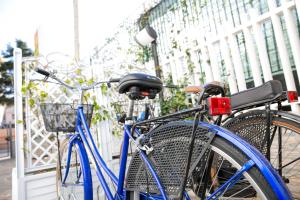 Gioviale House Pescara