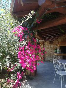 Villino del Pepe Rosa img15