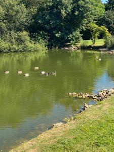 Maisons de vacances La Fermette Aux Canards : photos des chambres