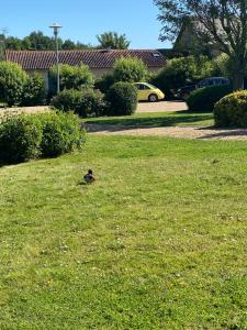 Maisons de vacances La Fermette Aux Canards : photos des chambres