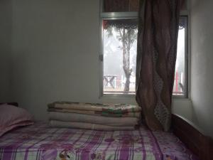 Rhododendron Homestay