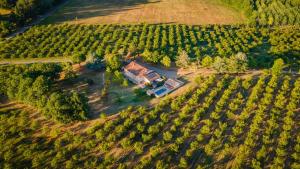 B&B / Chambres d'hotes Gite de Beausoleil : photos des chambres