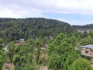 BHAGSU HOME STAY