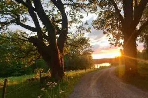 Sommarstugan - Äspered