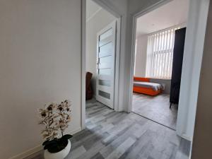 Apartament przy Parku