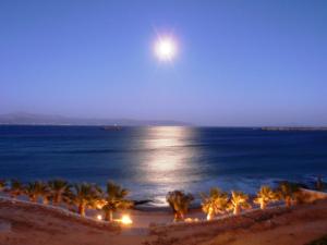 Blue Dolphin Paros Greece