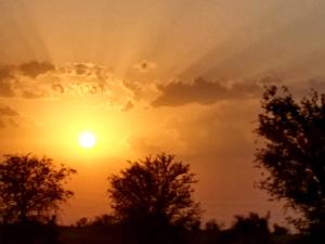 Shri Ram Wild Desert Resort