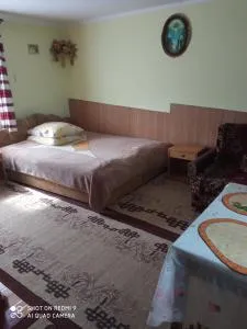 Гірський краєвид - Skole