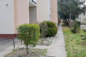 Krisztina Apartman 81