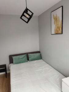 Apartamenty Modrzewiowa