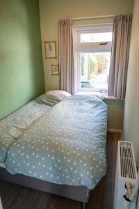 iwalani Beach Bungalow - large Private Garden - close to City Center & Beach