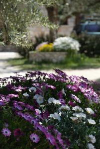 LIORIZA Country Houses Zakynthos Greece