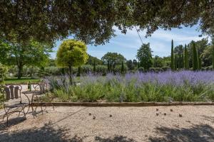 B&B / Chambres d'hotes Domaine Les Roullets : photos des chambres