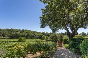 B&B / Chambres d'hotes Domaine Les Roullets : photos des chambres