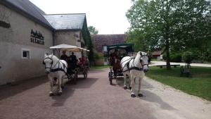 Villages vacances Le Village de Cottages - Le Pole du Cheval et de l'Ane : photos des chambres