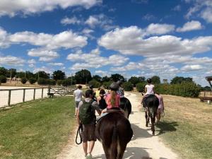 Villages vacances Le Village de Cottages - Le Pole du Cheval et de l'Ane : photos des chambres