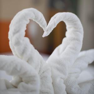 Hotels Hotel Continental : photos des chambres