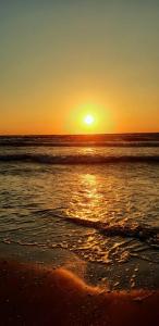 Coral Residence -Mamaia Nord